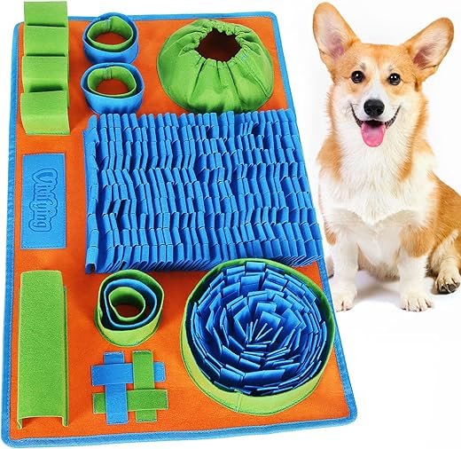 25 Best Dog Enrichment Ideas to Beat Boredom (UK Guide)