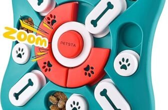 6 Secrets to Engaging Your Dog with Brain Games