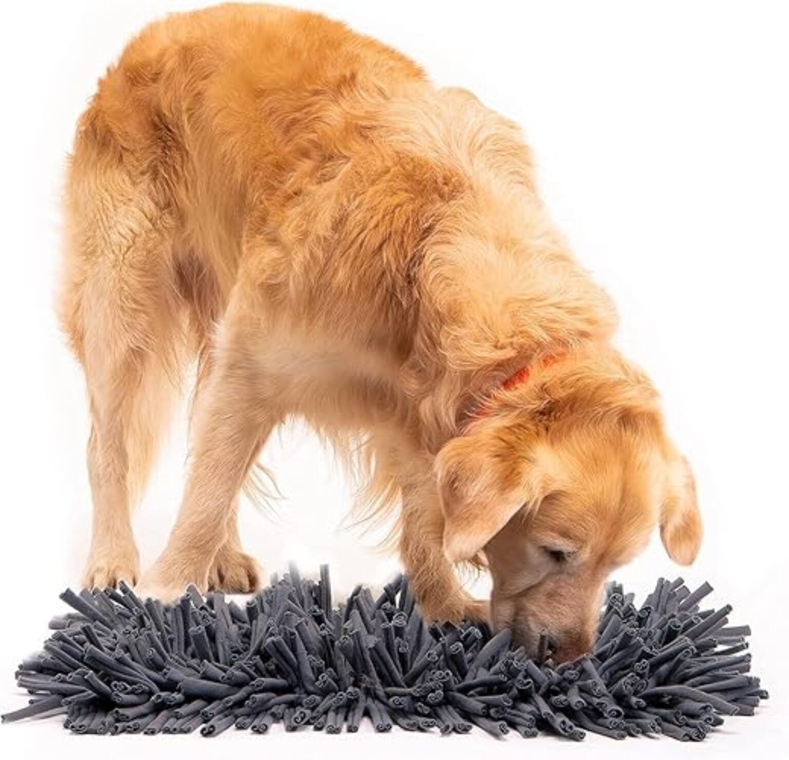 Best Dog Puzzle Toys in the UK