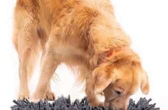 Best Dog Puzzle Toys in the UK