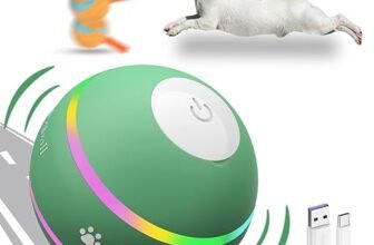 Brain Games for Dogs: 7 Surprising Benefits I've Discovered