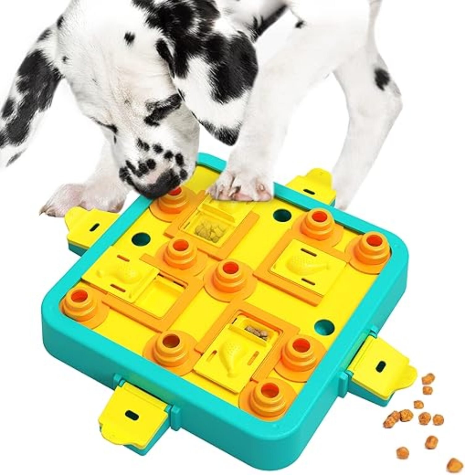 Which is Better? Dog Puzzle Games vs Remote Trainers