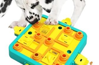 Which is Better? Dog Puzzle Games vs Remote Trainers