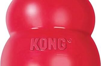 Top 10 Mental Toys for Happy, Clever Dogs