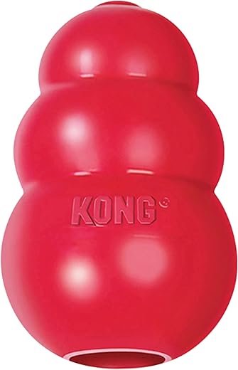 Top 10 Mental Toys for Happy, Clever Dogs